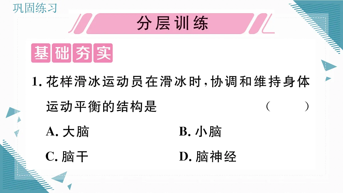 17336437第5页