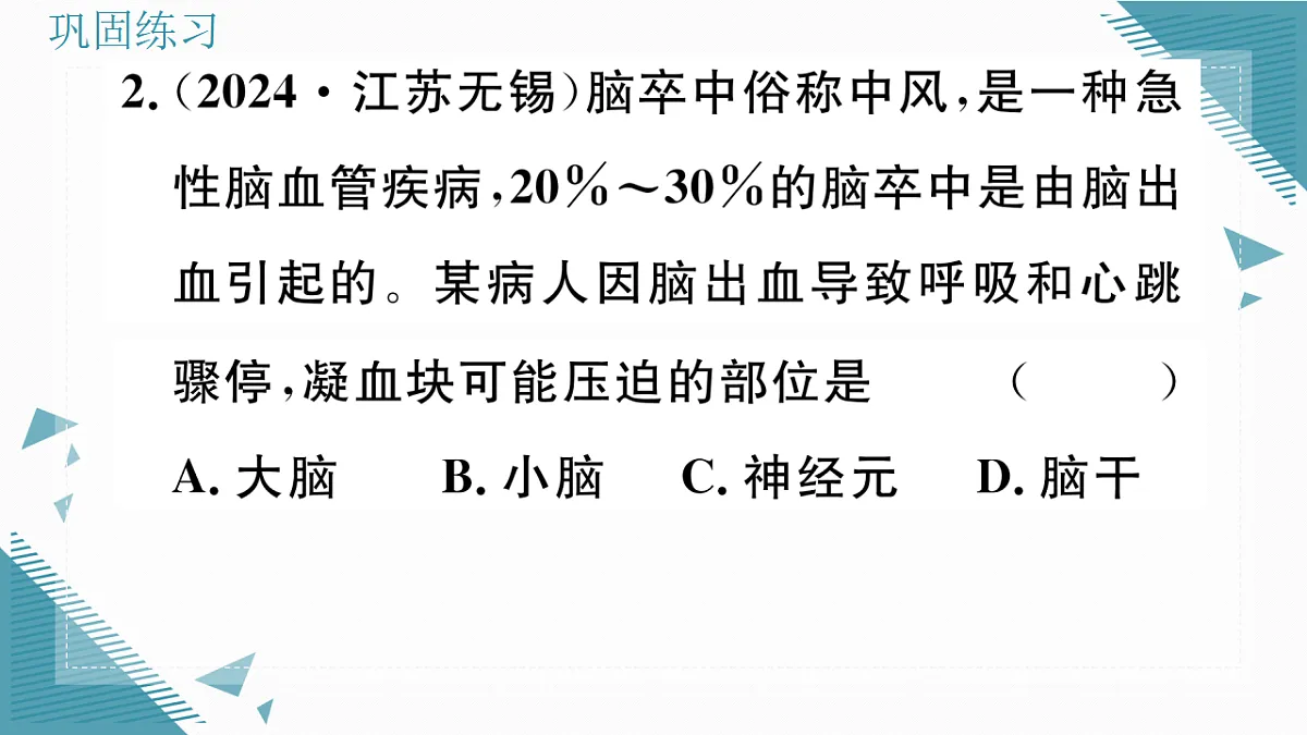 17336437第6页