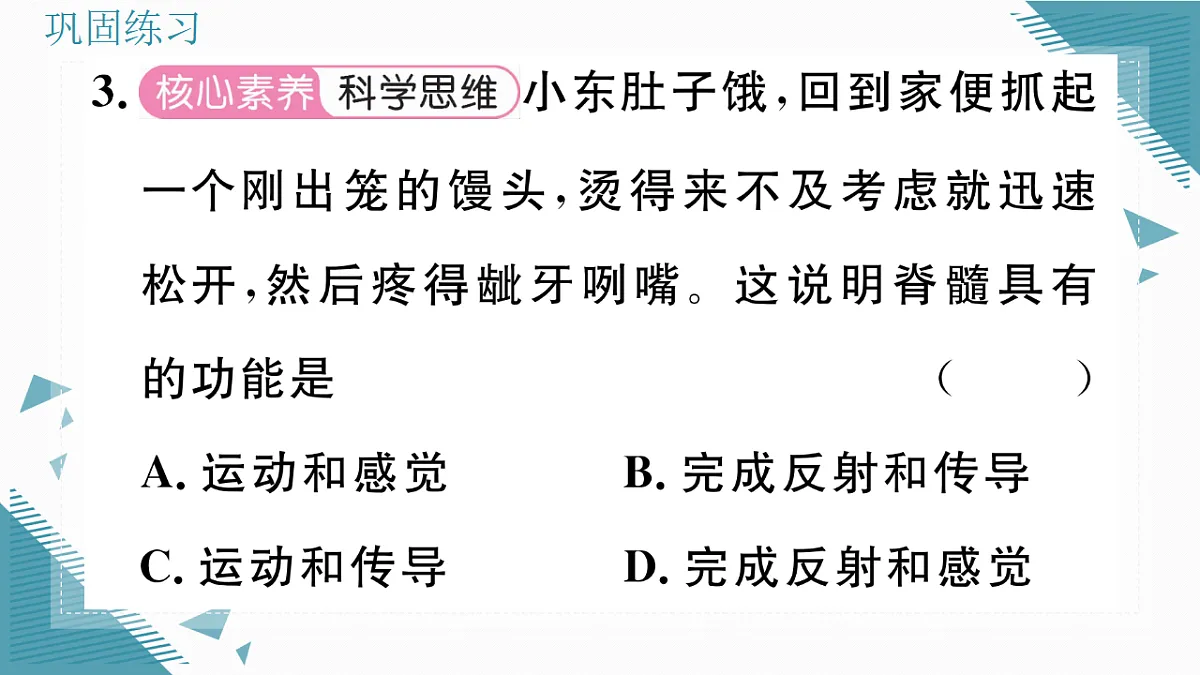 17336437第7页
