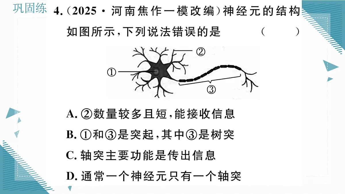 17336437第8页