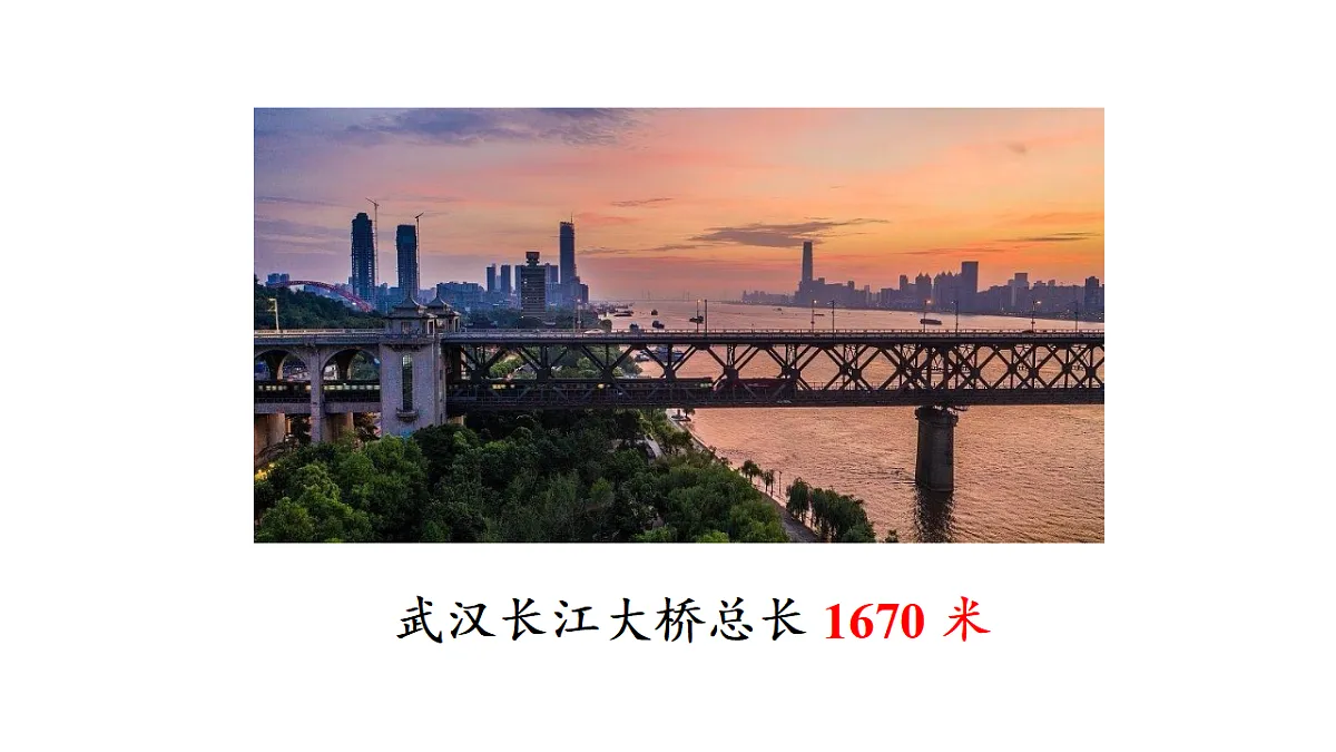 17336445第3页