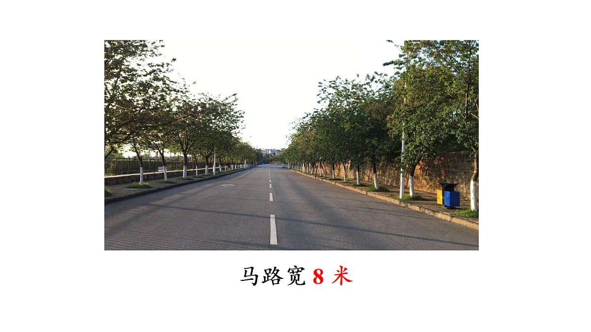 17336445第4页