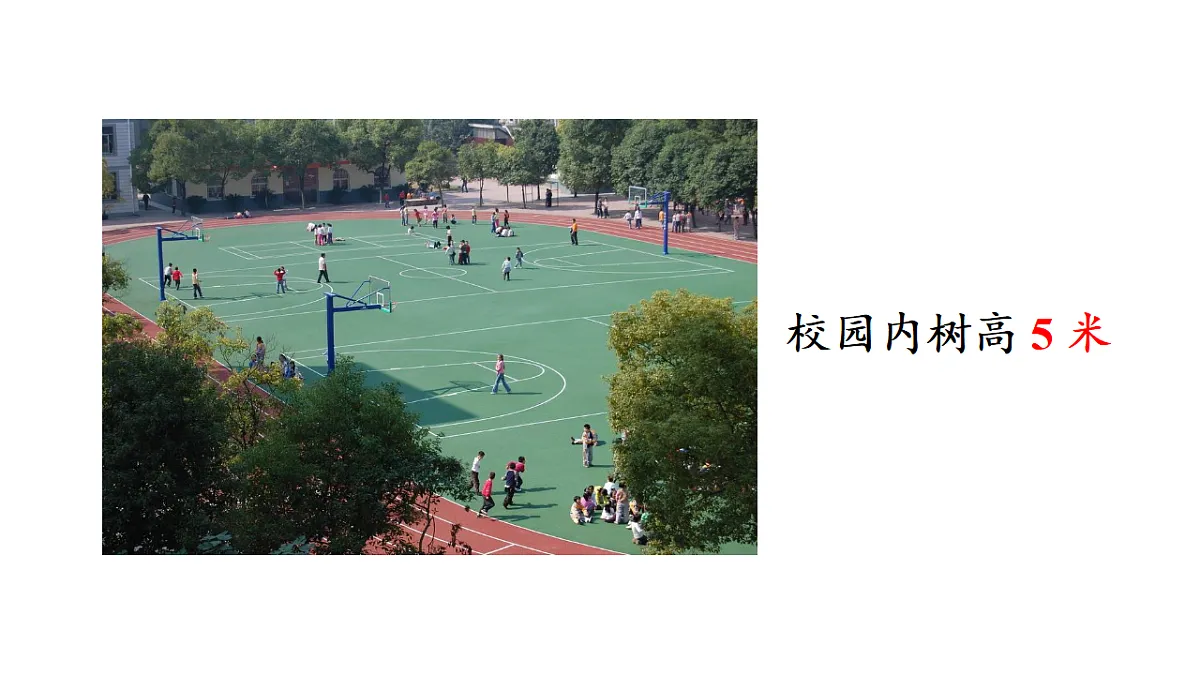 17336445第5页