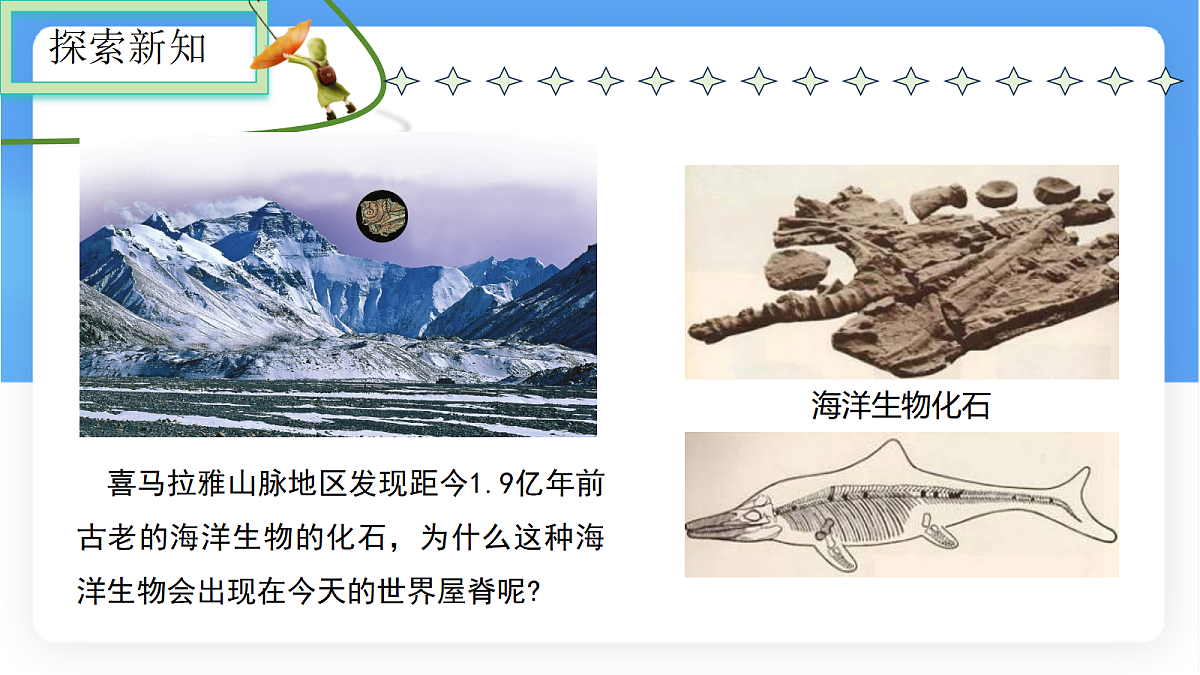 17336471第4页