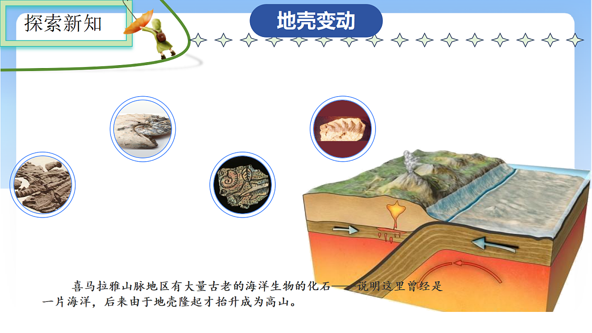 17336471第5页