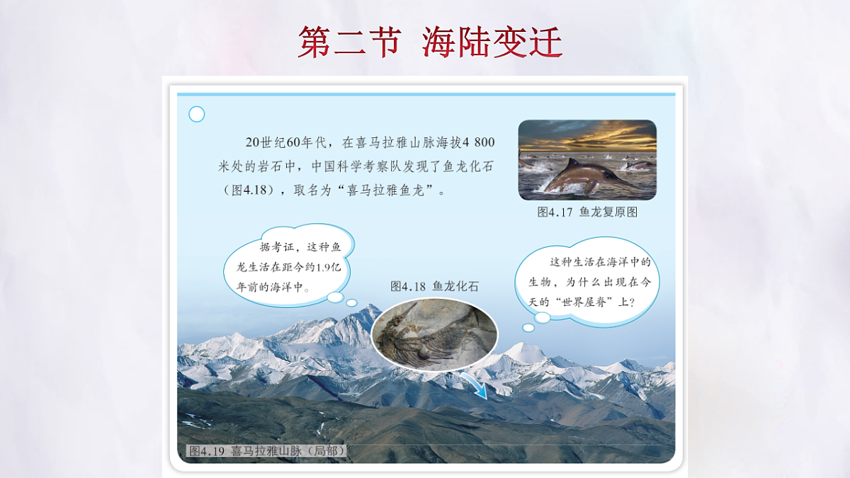 17336472第2页