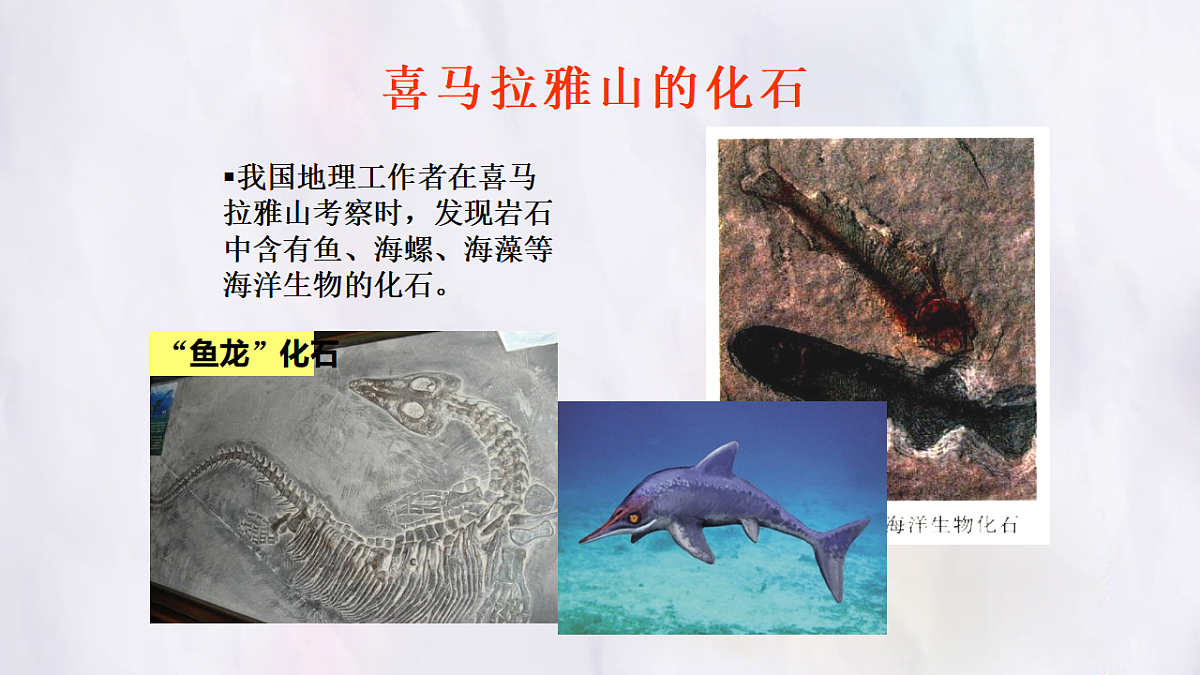 17336472第5页