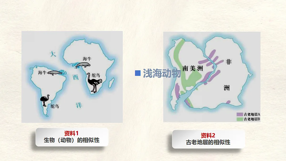 17336475第7页