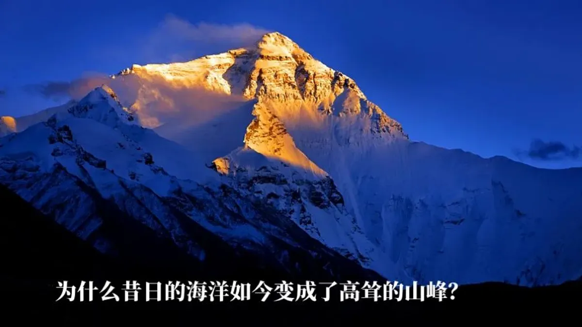 17336494第5页