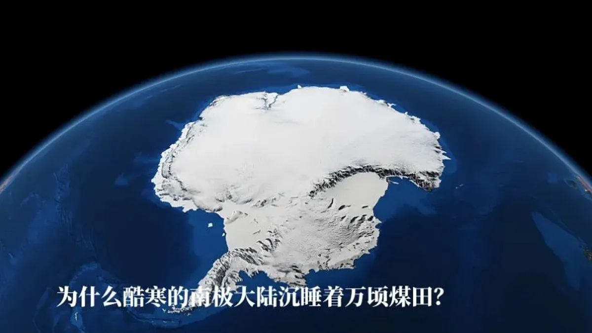 17336494第6页