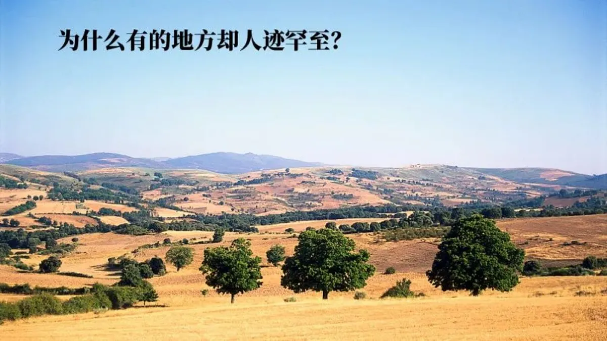 17336494第8页