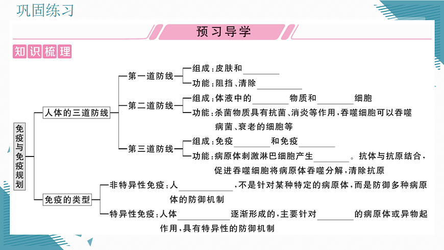 17336497第2页