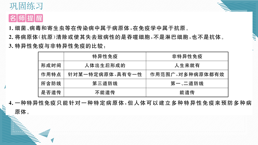 17336497第3页