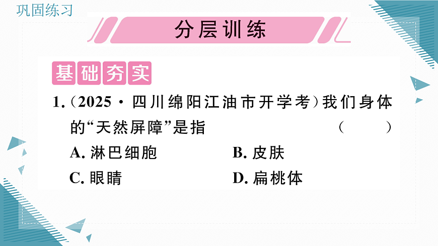17336497第4页