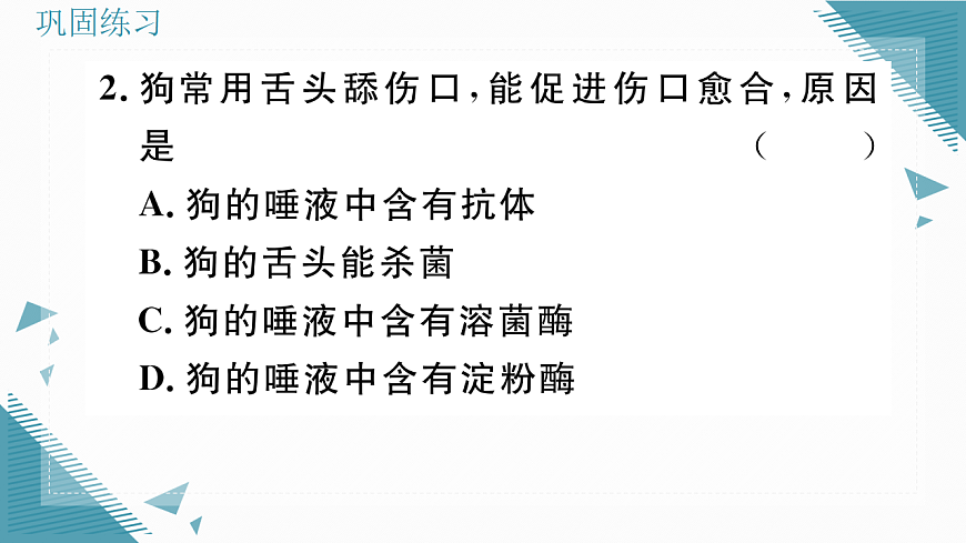 17336497第5页