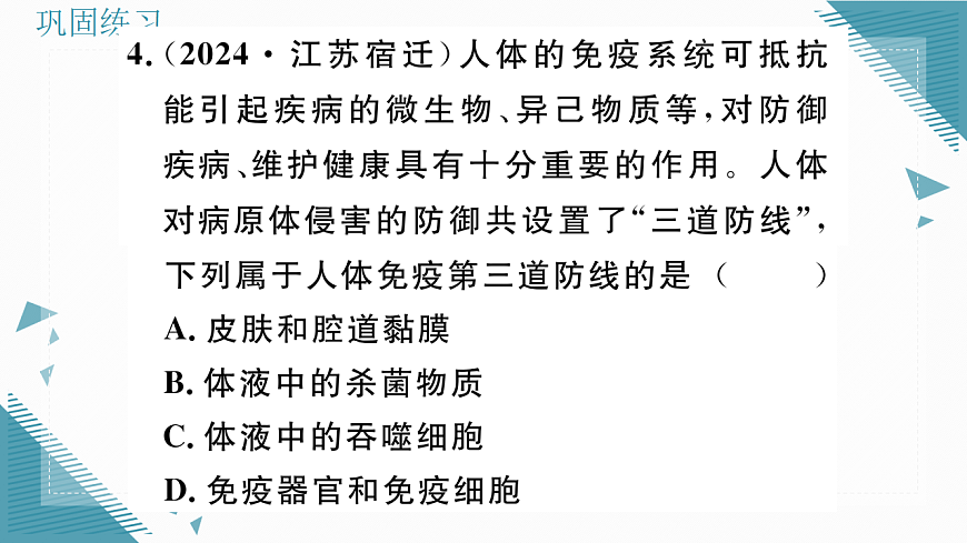 17336497第7页