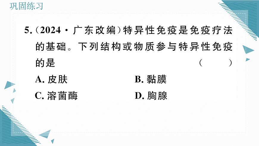 17336497第8页