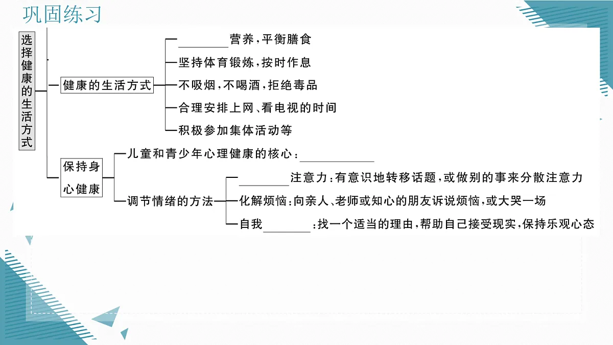 17336499第3页