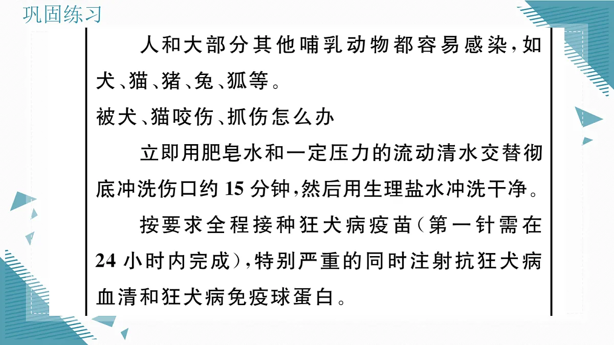 17336501第4页