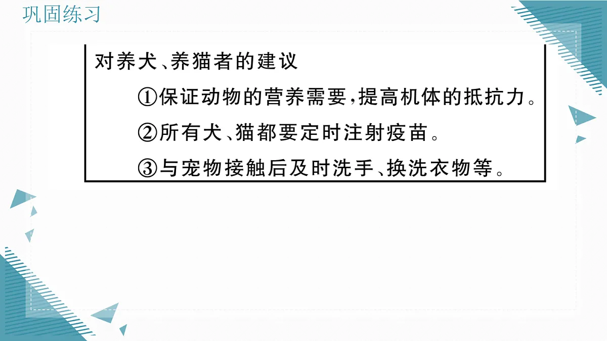 17336501第5页