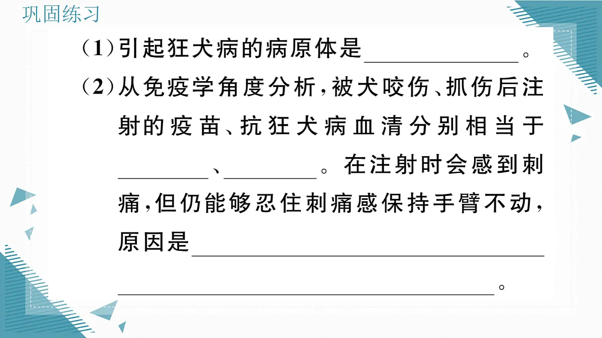 17336501第6页