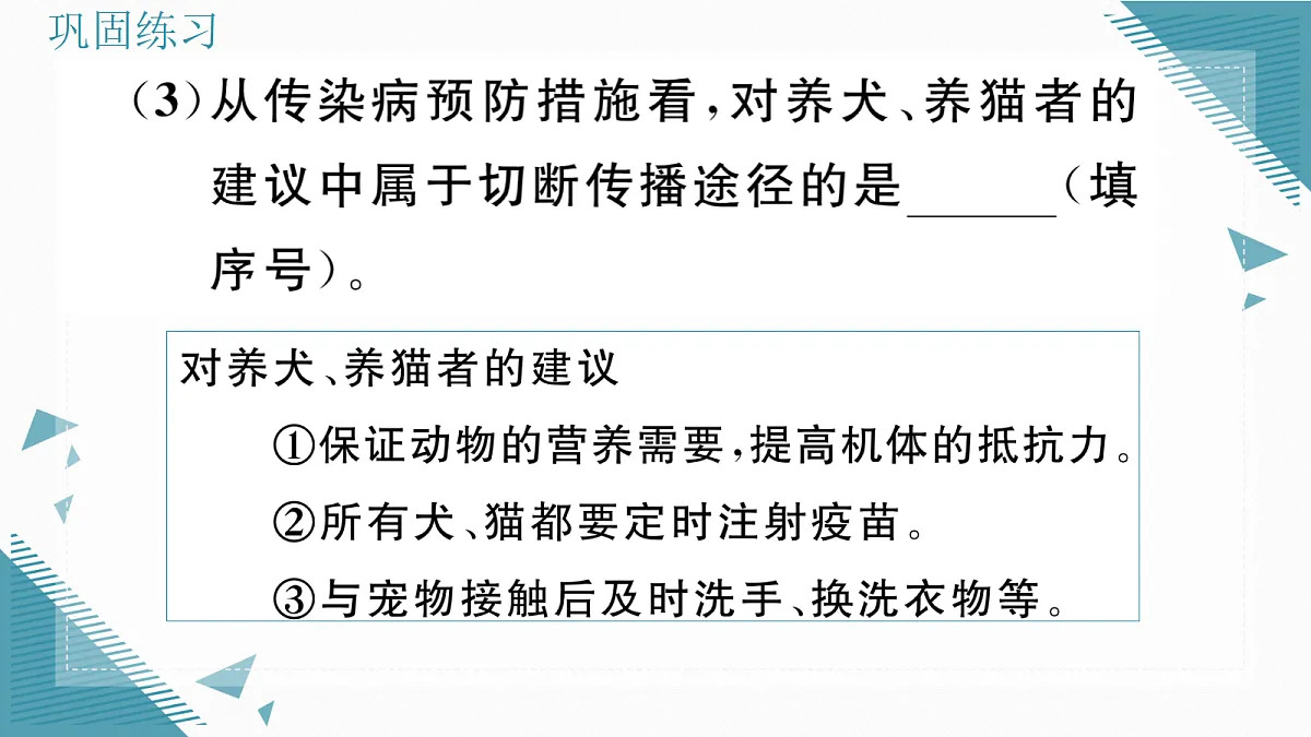 17336501第7页