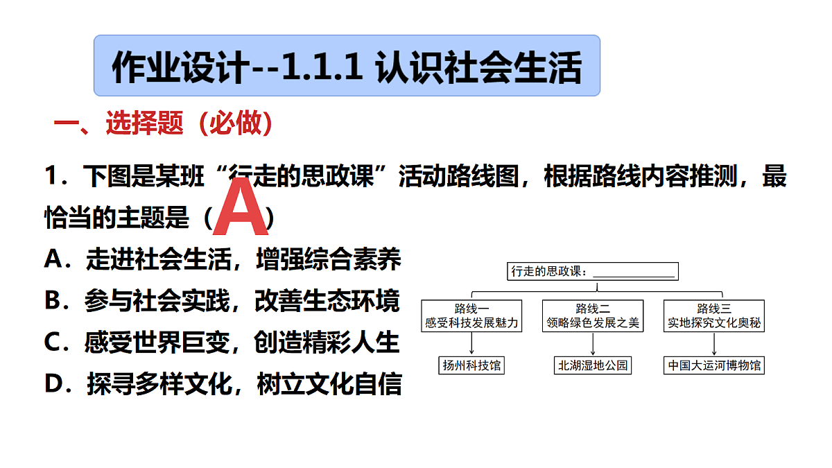 17336789第3页
