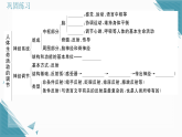 2025年人教版（2024）初中生物八年级上册第四单元第六章总结提升习题课课件（含答案）