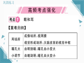 2025年人教版（2024）初中生物八年级上册第四单元第六章总结提升习题课课件（含答案）