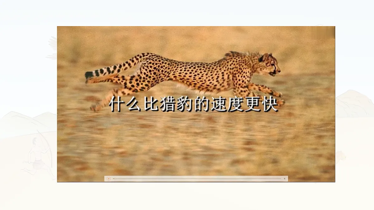 17336986第3页