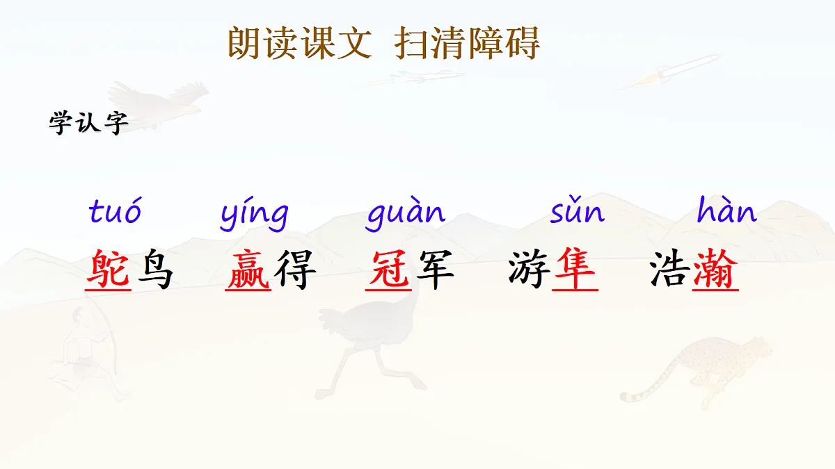 17336986第4页