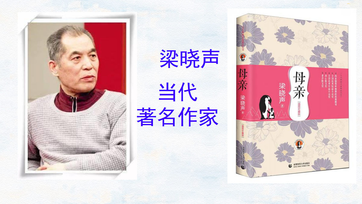17336993第2页
