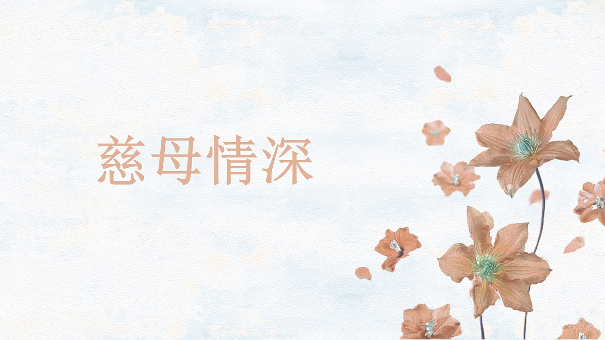 17336993第3页