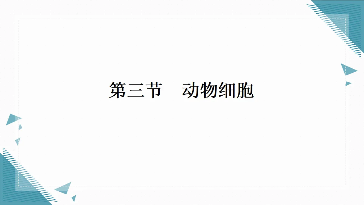 17337201第1页