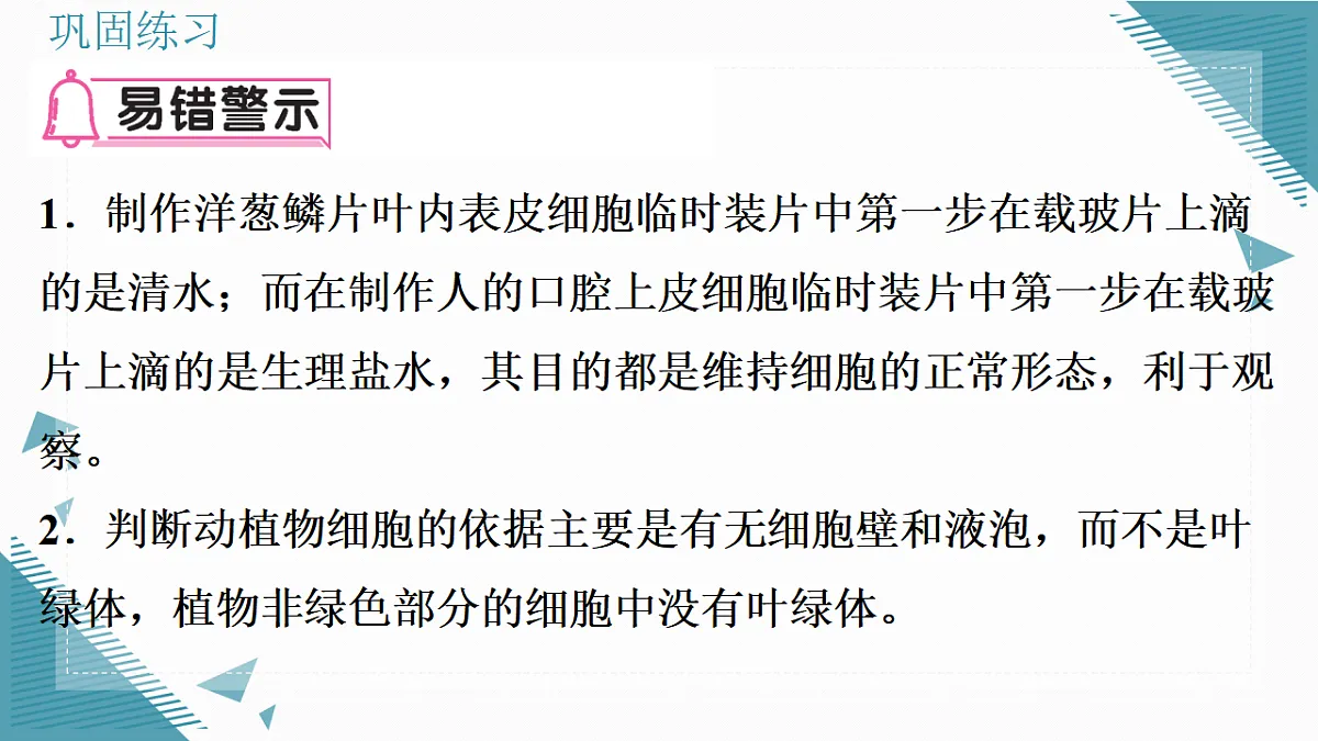 17337201第4页