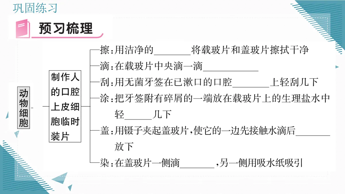 17337201第5页