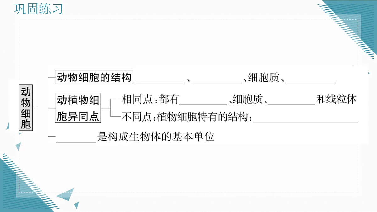 17337201第6页