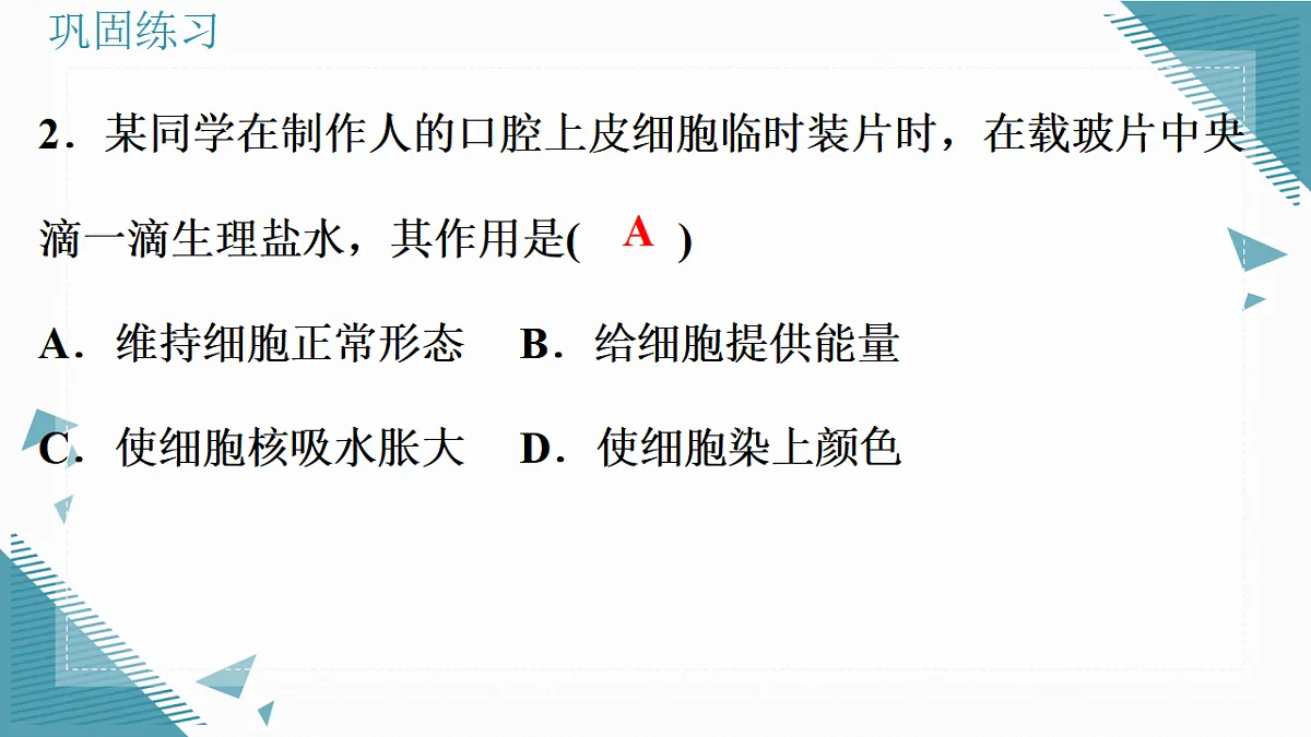17337201第8页