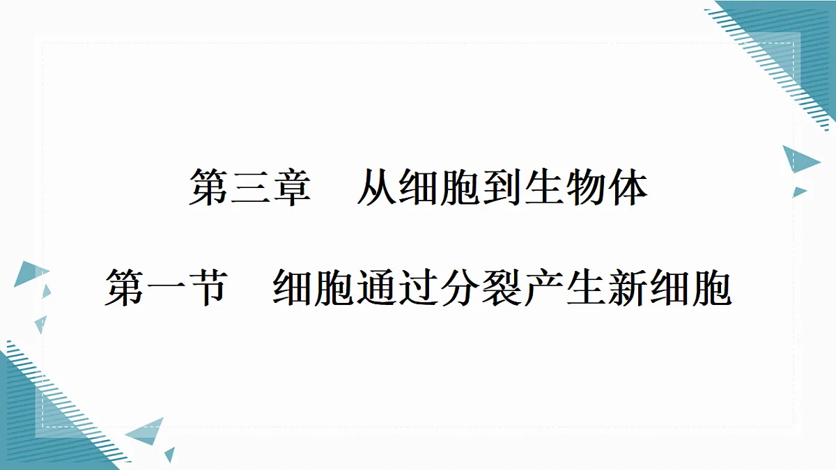 17337202第1页