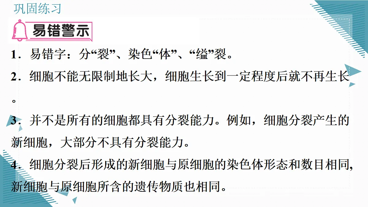 17337202第3页
