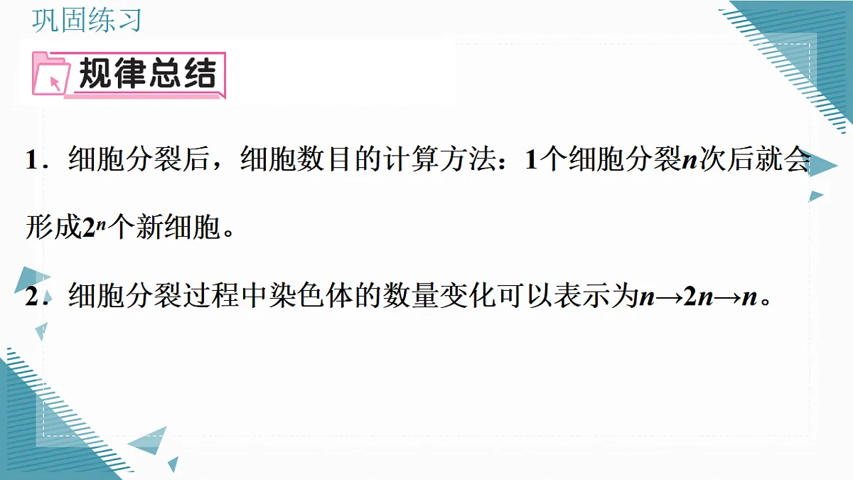 17337202第4页
