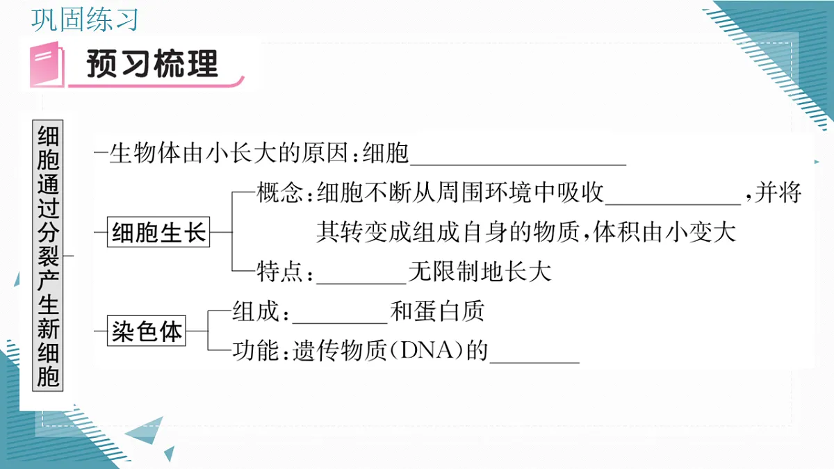 17337202第5页