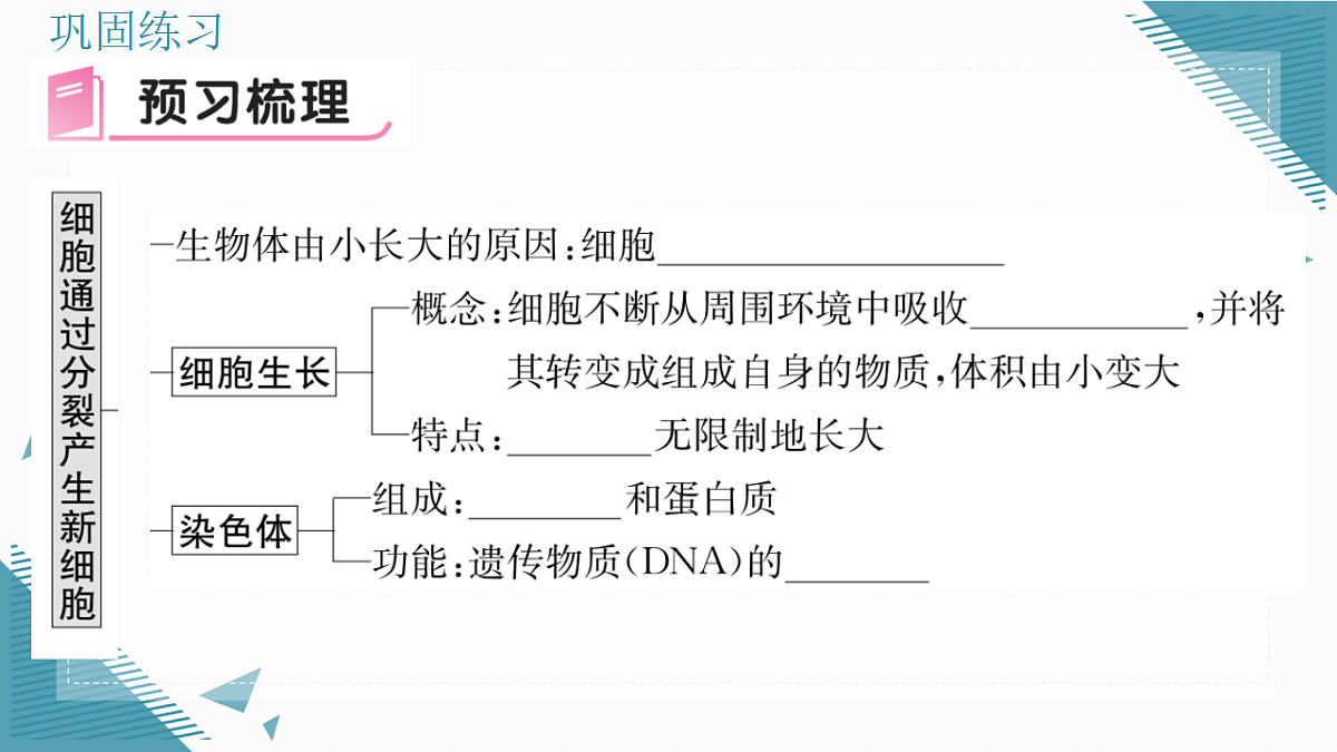 17337202第5页