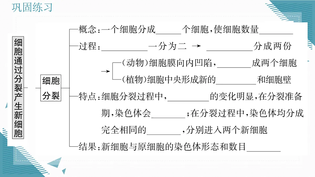 17337202第6页