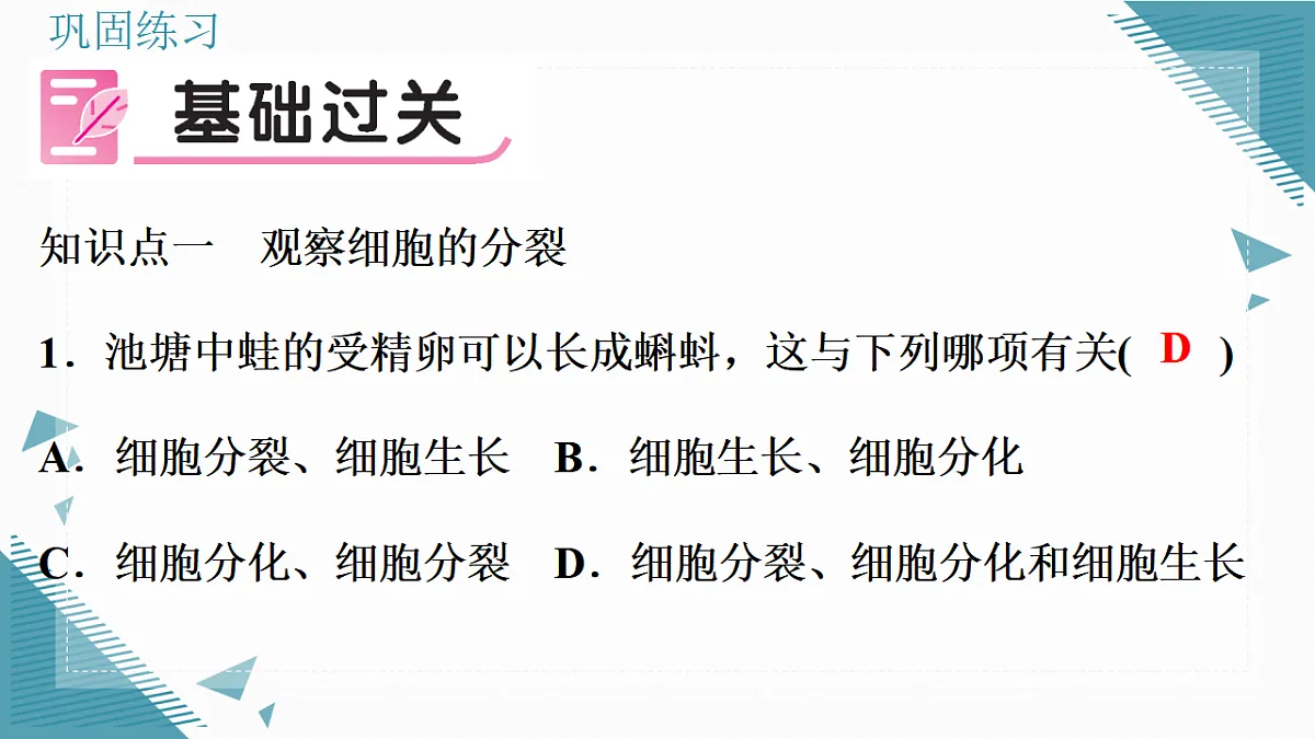 17337202第7页