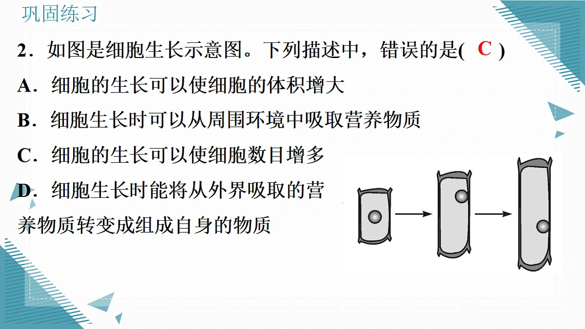 17337202第8页