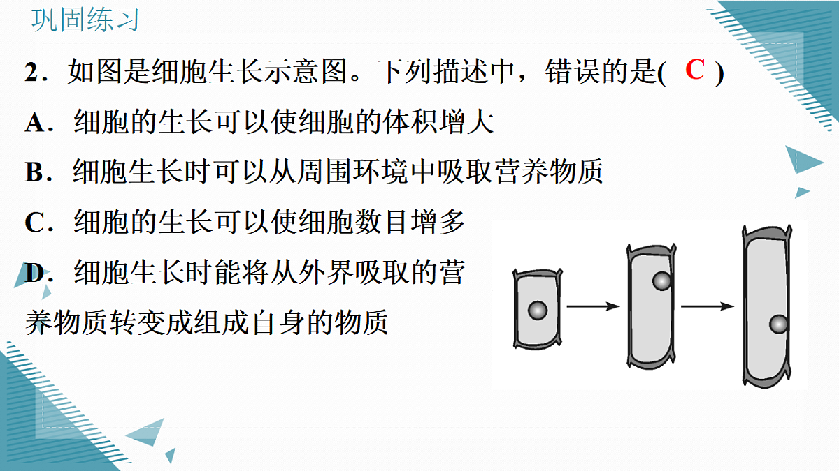 17337202第8页