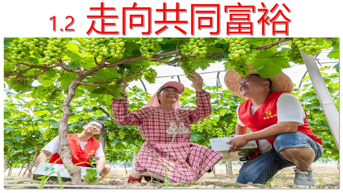 17337318第5页