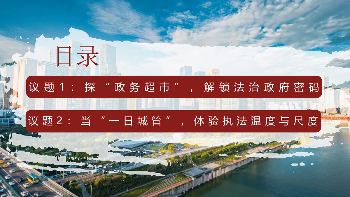 17337374第3页