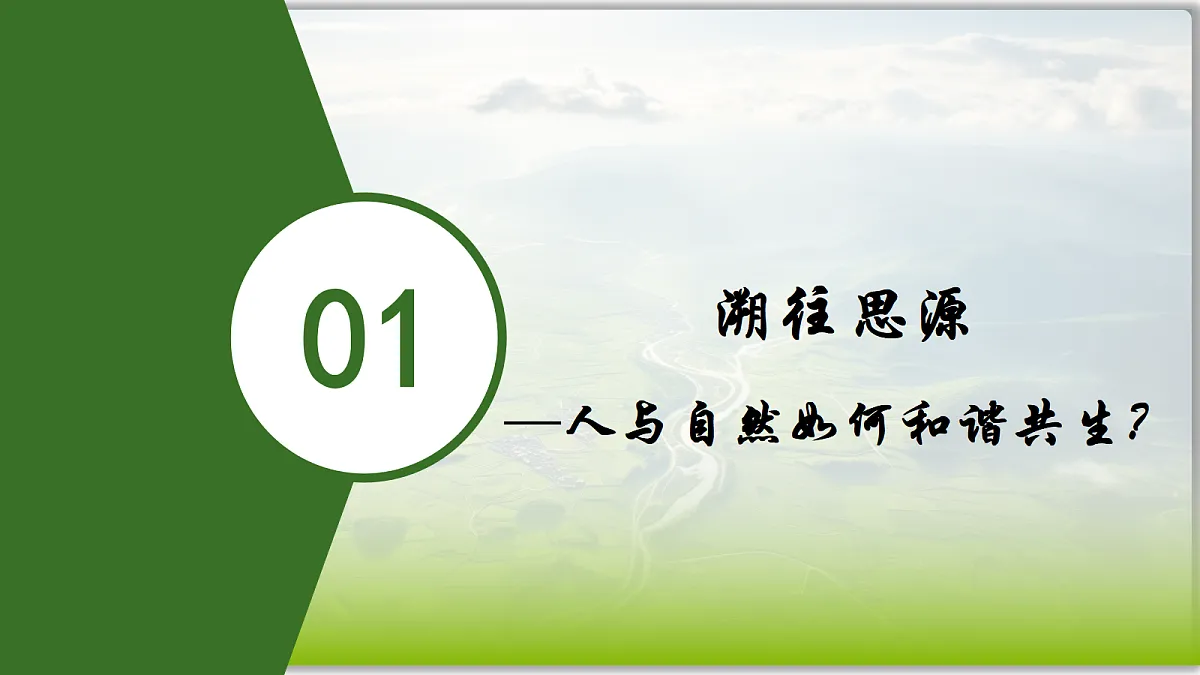 17337402第5页